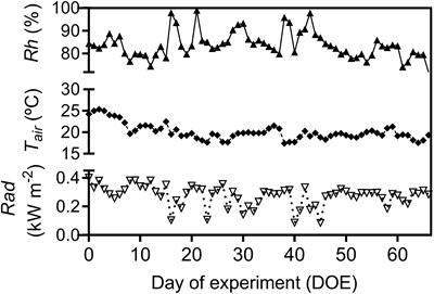 Stomatal Development and Conductance of a Tropical Forage Legume Are Regulated by Elevated [CO2] Under Moderate Warming